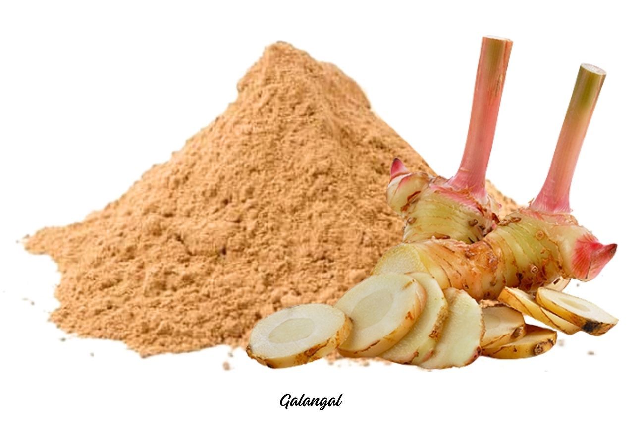 Galangal